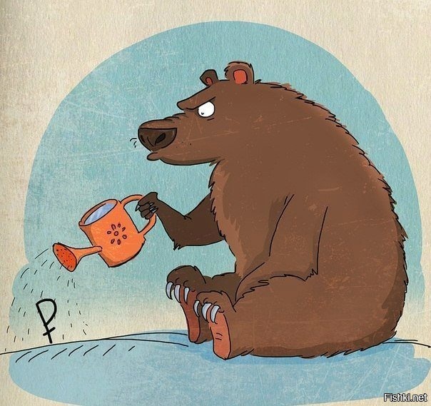 Из солянки