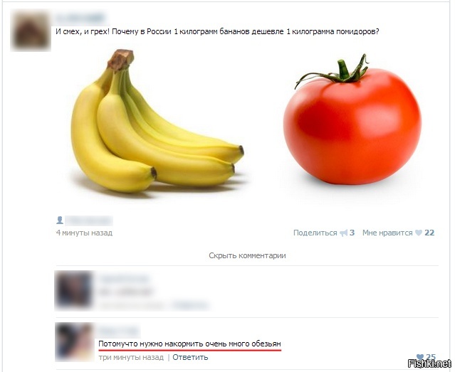 Из солянки