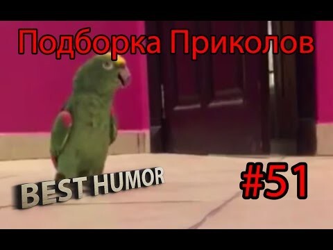 Подборка Лучших Приколов, выпуск 51