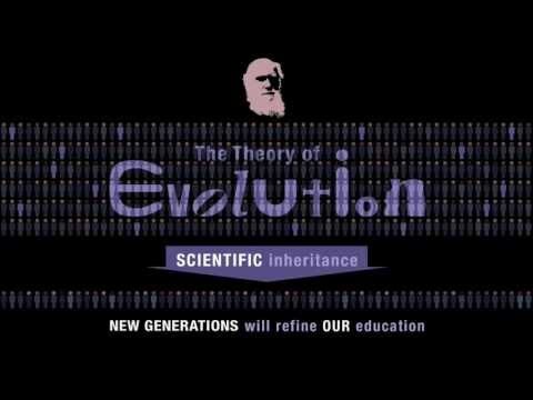 Теория Эволюции