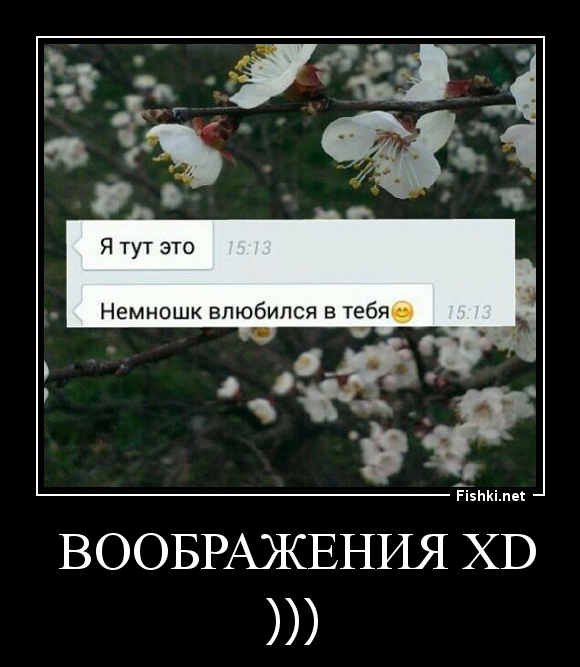  ВООБРАЖЕНИЯ xd