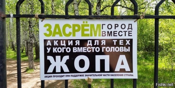 Из солянки