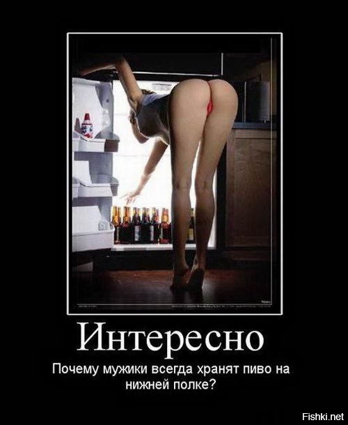 Из солянки