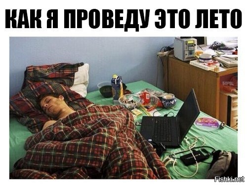 Из солянки