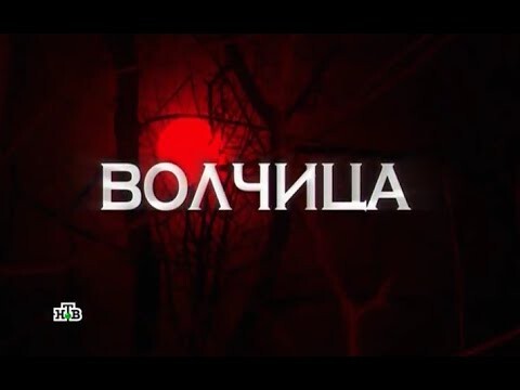 Следствие вели - Волчица (Выпуск от 23.05.2015)