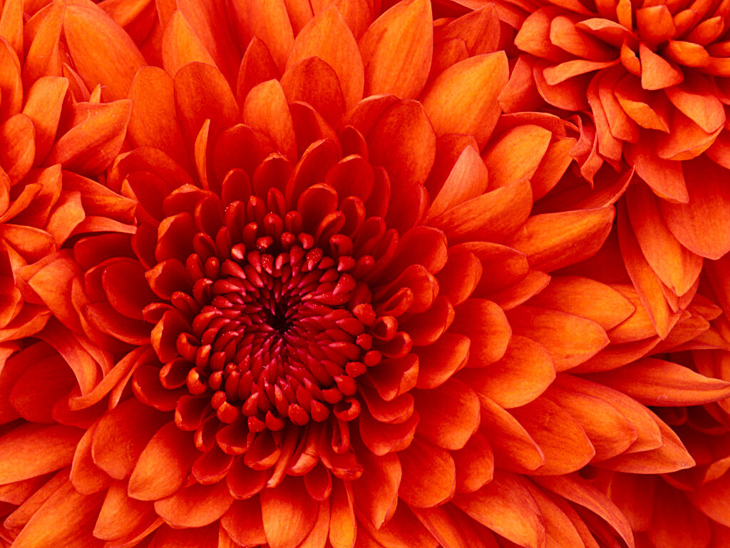 Test title