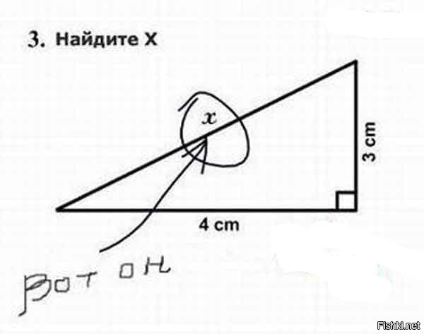 Из солянки