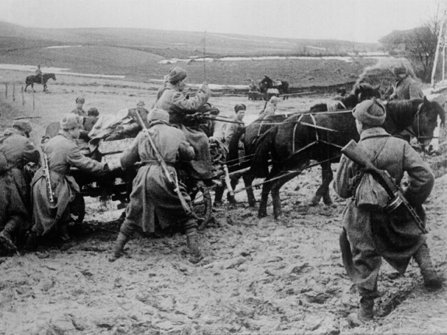 Лошади – участники Великой Отечественной войны