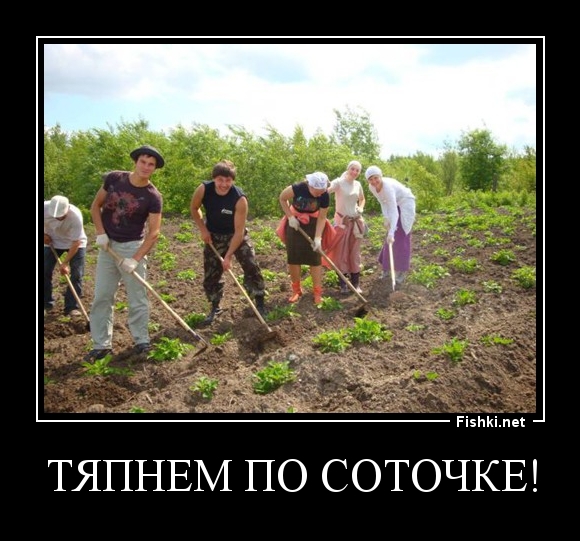 Тяпнем по соточке!