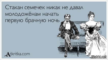 Из солянки