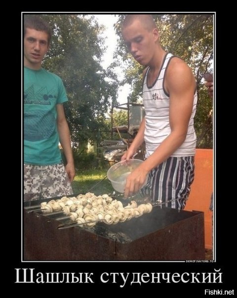 Из солянки