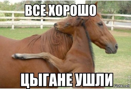 Из солянки