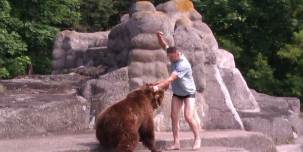 В Польше посетитель зоопарка подрался с медведем