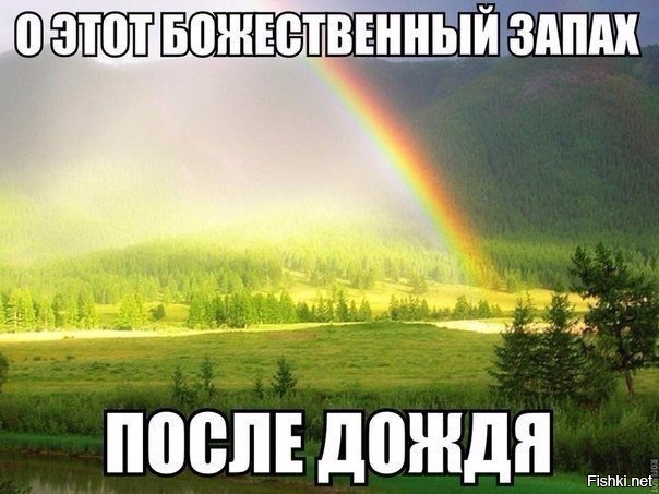 Из солянки