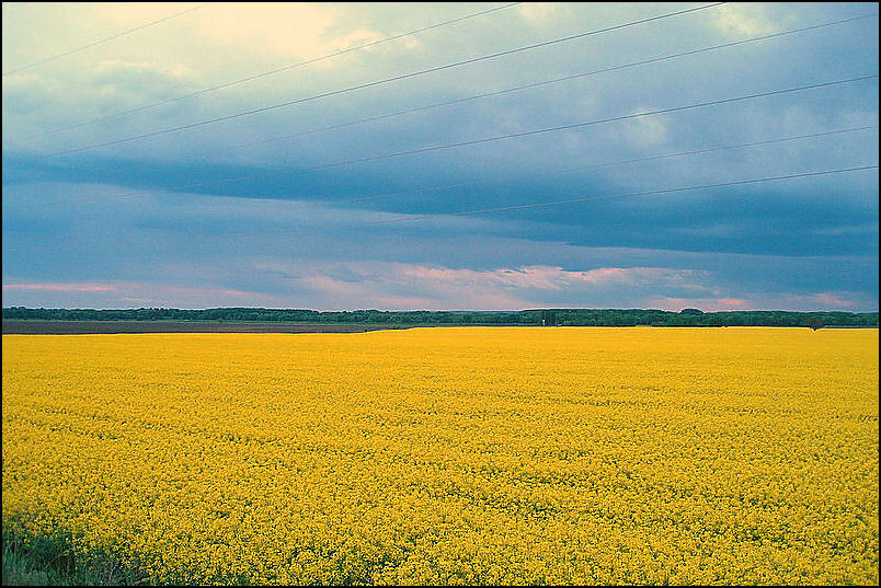 Гимн Украины достал школьников