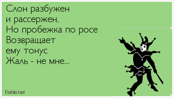 Слон разбужен  и рассержен, Но пробежка по росе Возвращает  ему тонус Жаль - не мне...