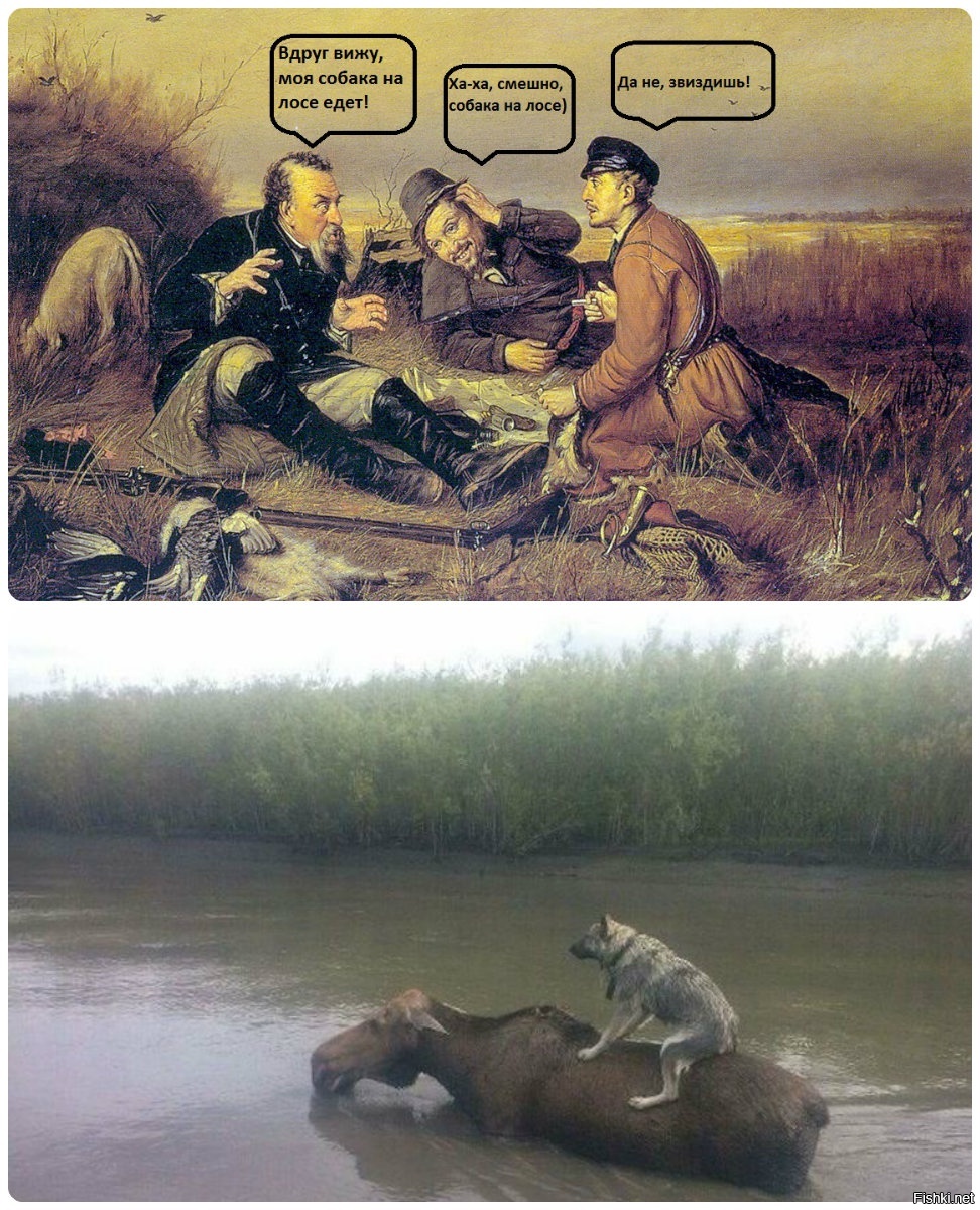 Из солянки