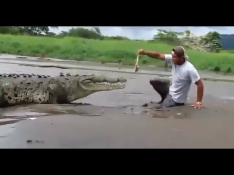 С крокодилом лучше так не шутить!
