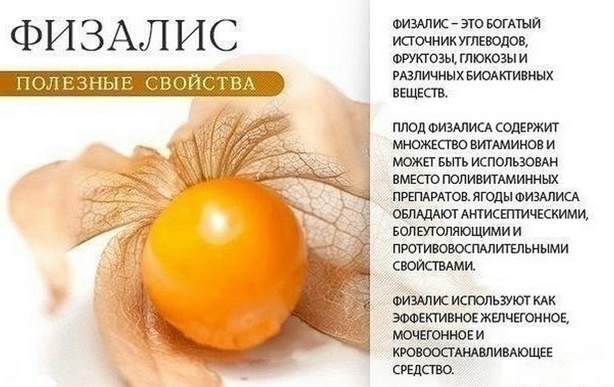 Польза оранжевых продуктов