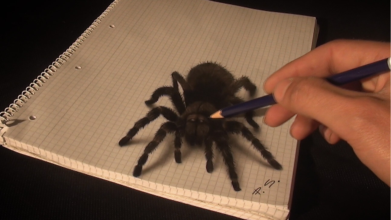 Невероятный 3D рисунок паука
