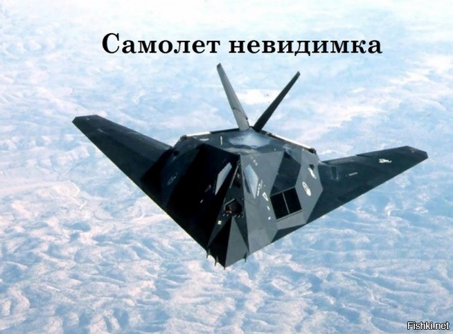 Из солянки