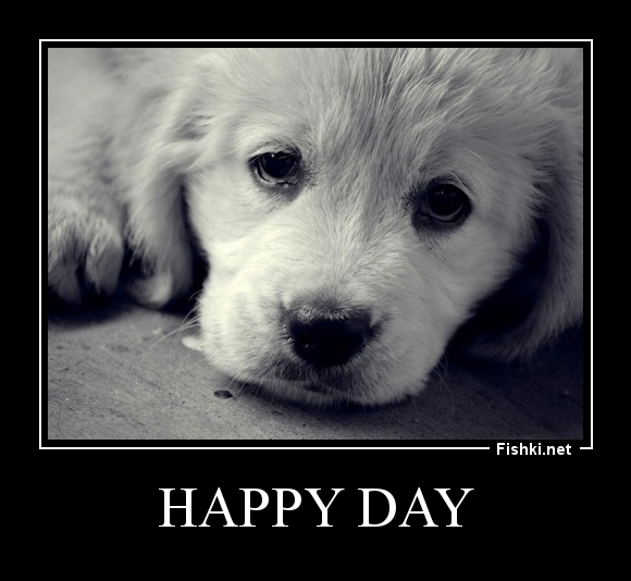 Happy Day