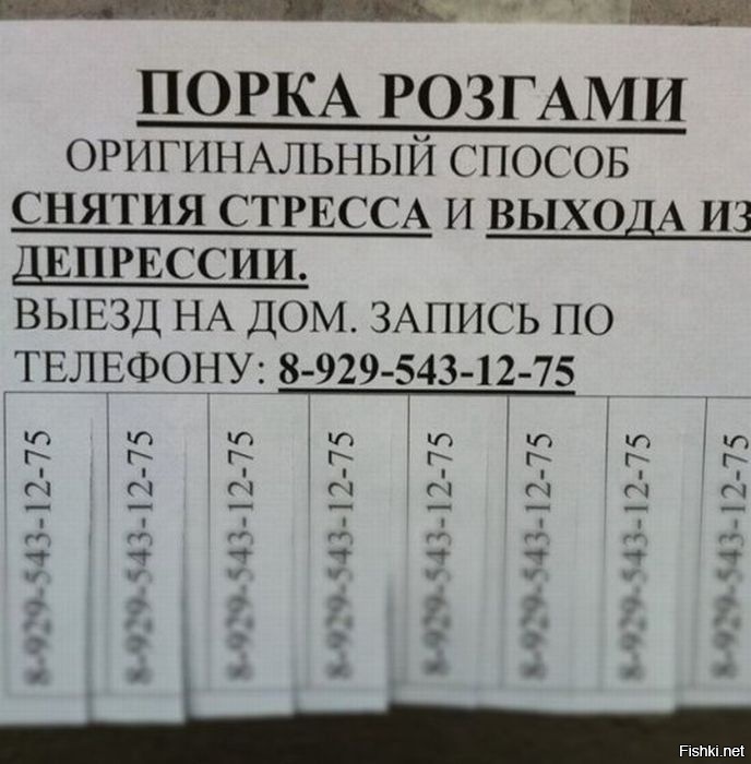 Из солянки