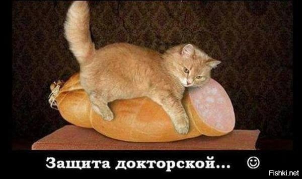 Из солянки