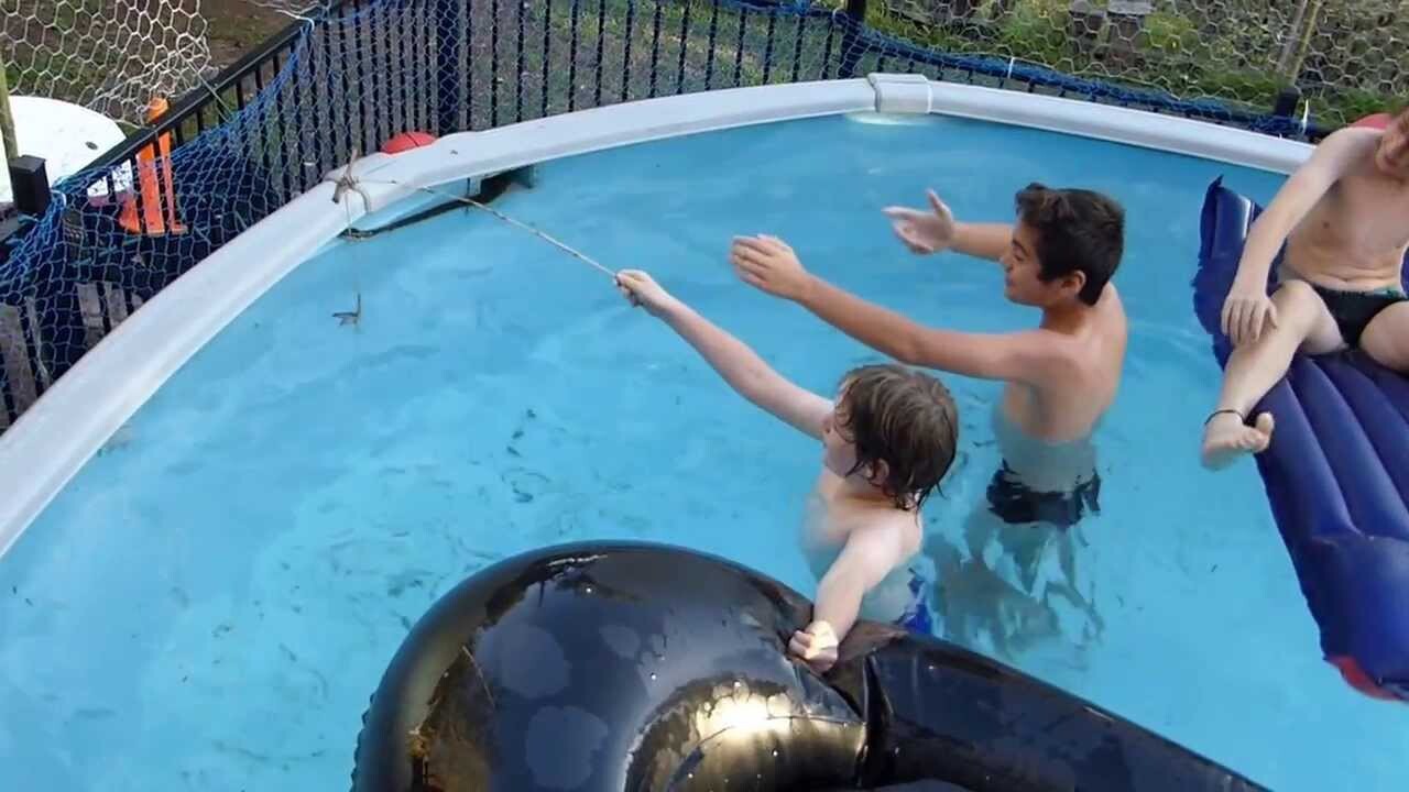 Дети развлекаются в бассейне