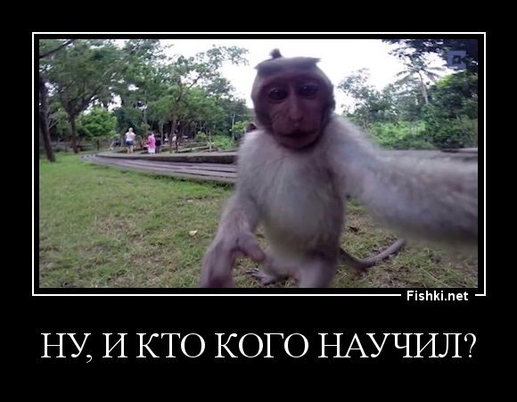 Ну, и кто кого научил?