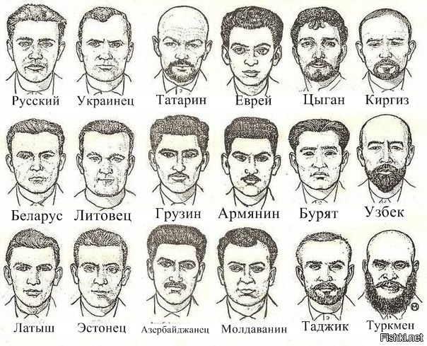 Из солянки