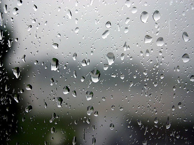 20 интересных фактов о дожде