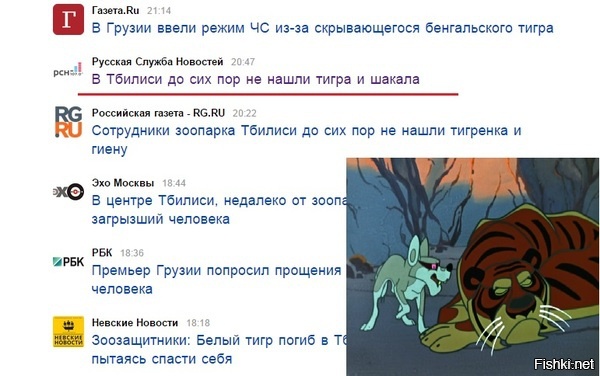 Из солянки