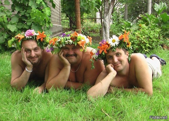 Из солянки