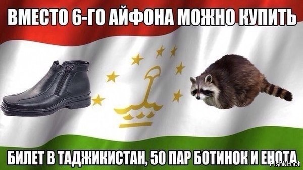 Из солянки