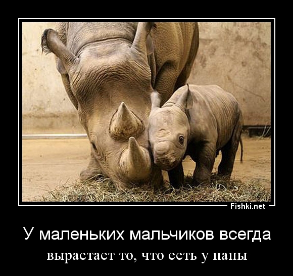 У маленьких мальчиков всегда