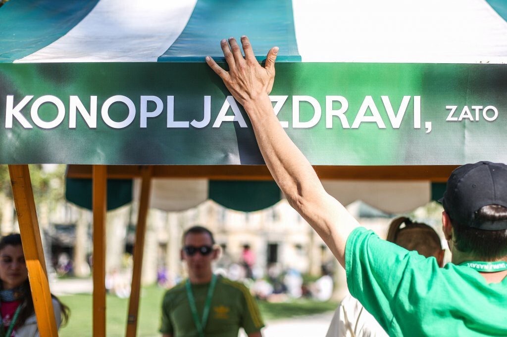 В Словении зафиксирован случай массового отравления коноплёй