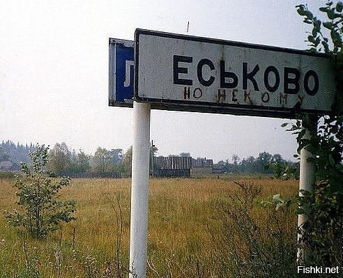 Из солянки