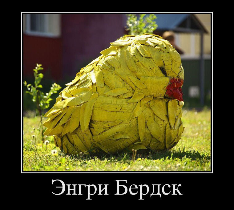 Энгри Бердск