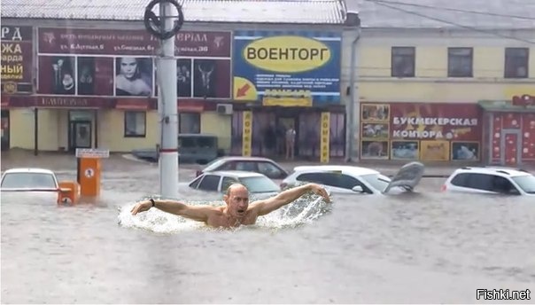 Тем временем в Сочи