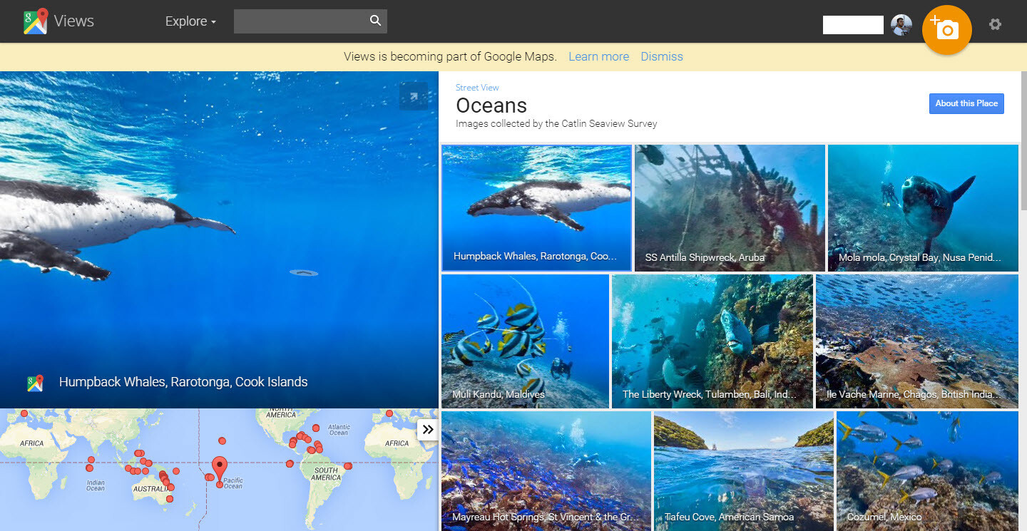 С помощью Google Oceans теперь можно перенестись в подводный мир