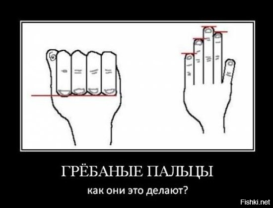 Сам вшоке