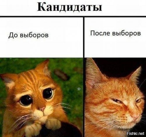 Из солянки