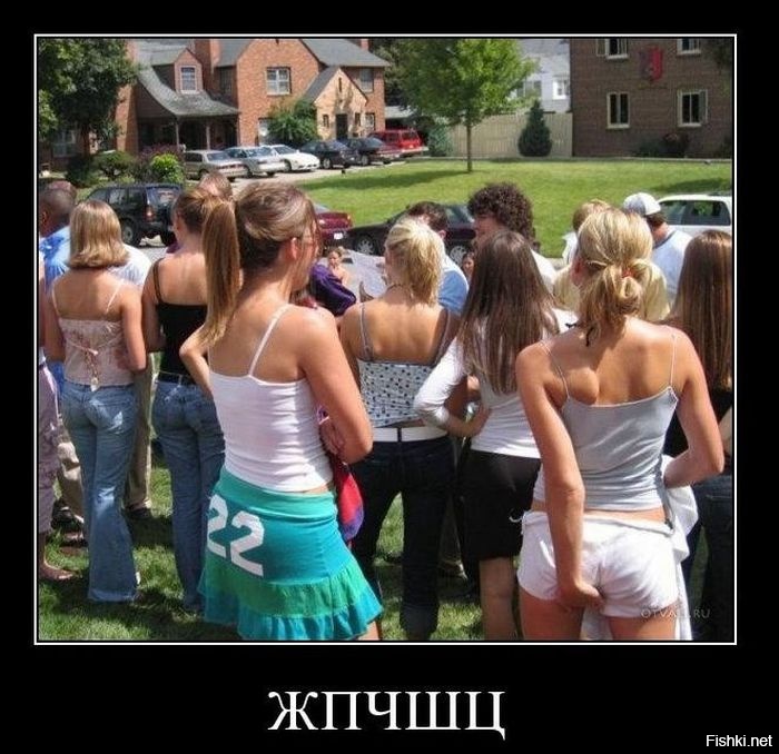 Из солянки