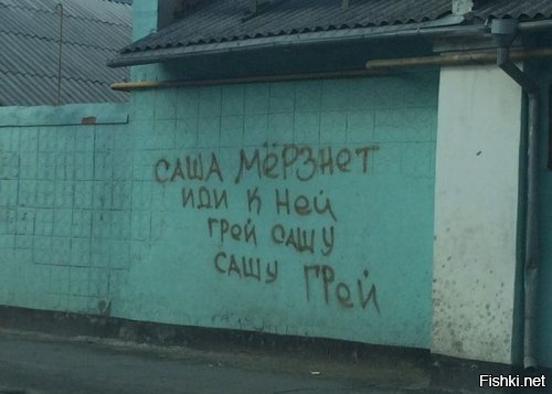 Из солянки