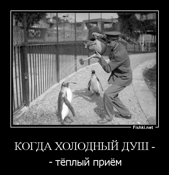 Когда холодный душ -