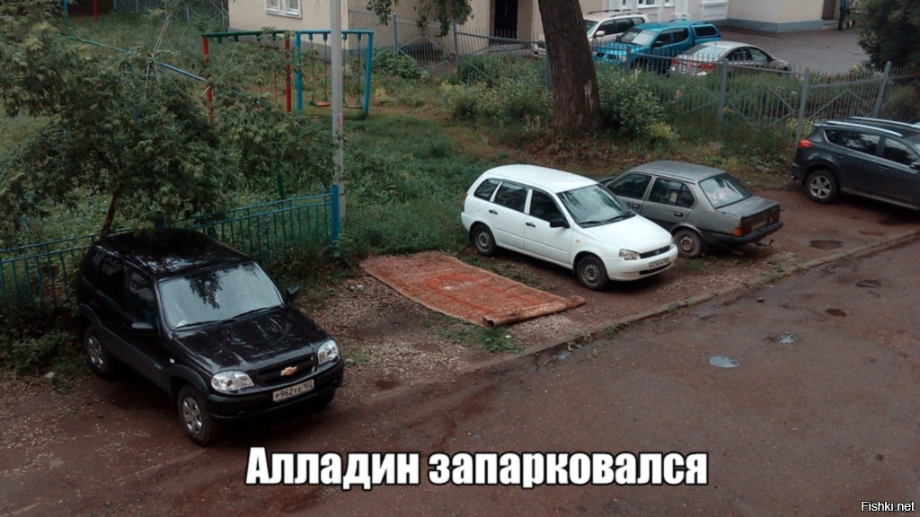 Из солянки