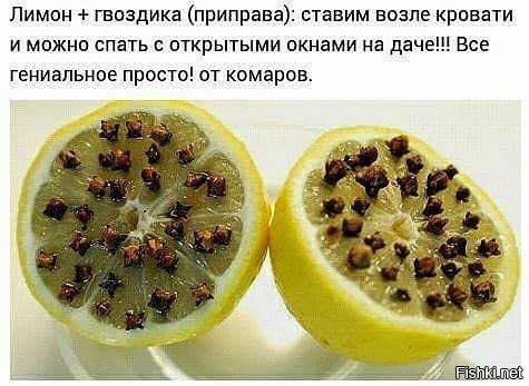 Из солянки