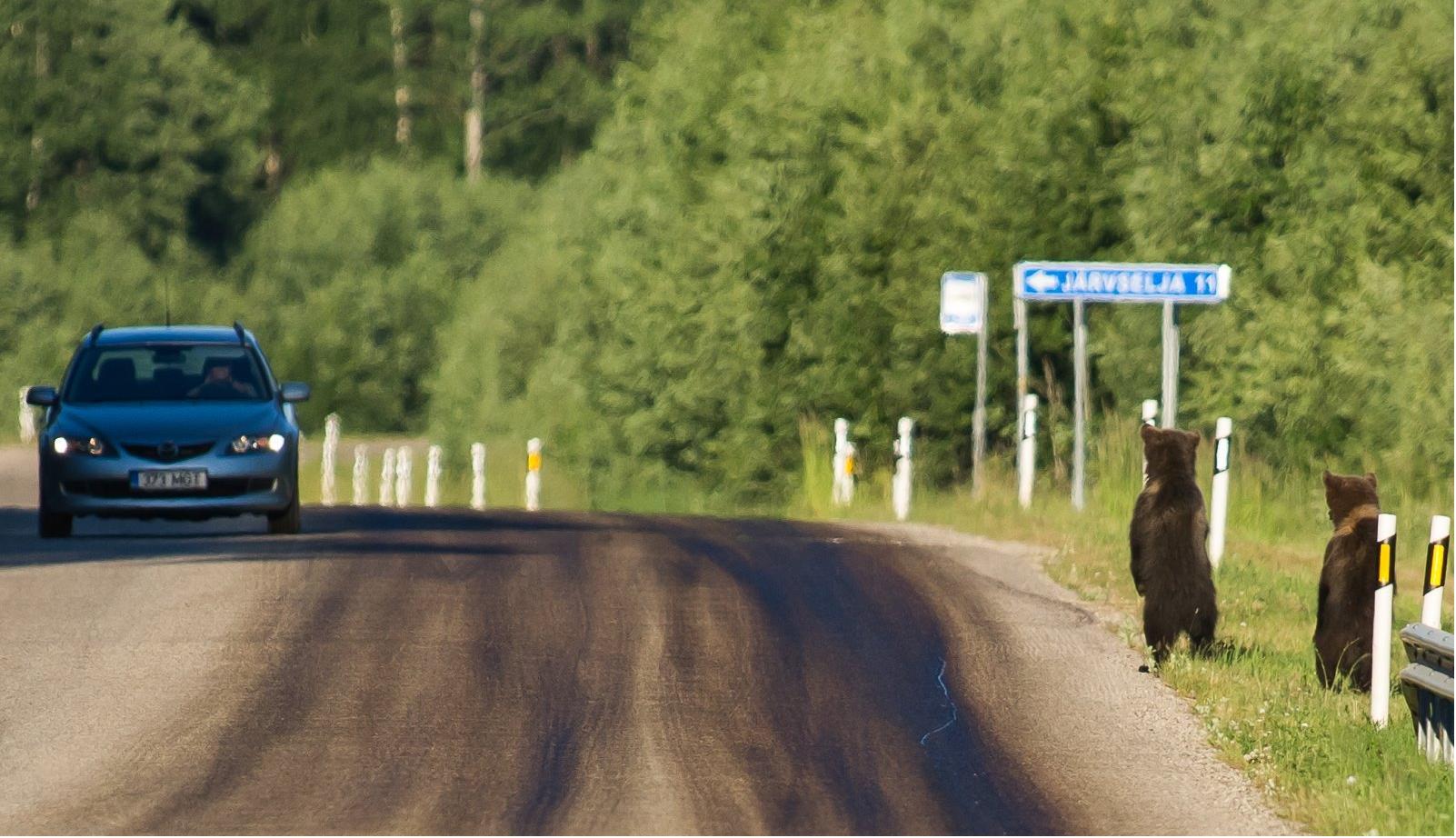 Фотоподборка за 07.07.2015