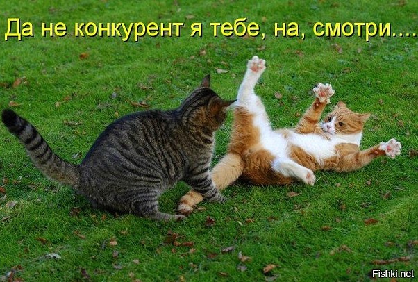 Из солянки